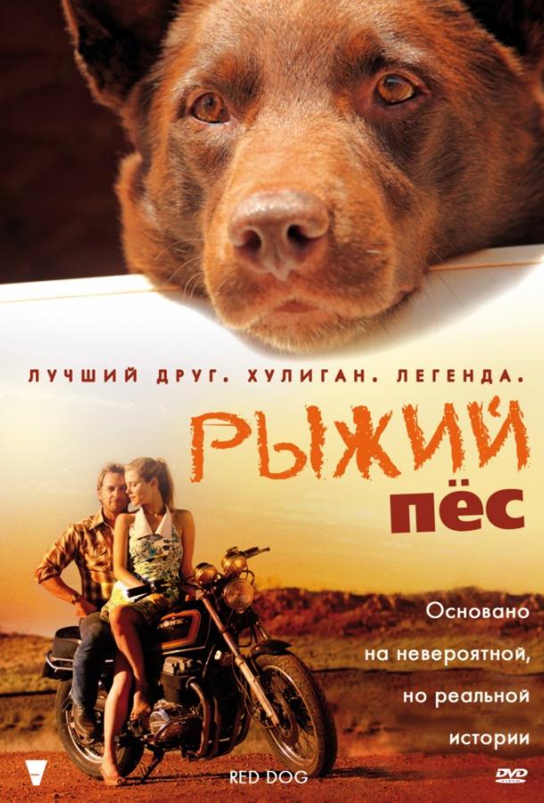 Рыжий пес 2011 Смотреть Онлайн Бесплатно в Хорошем Качестве